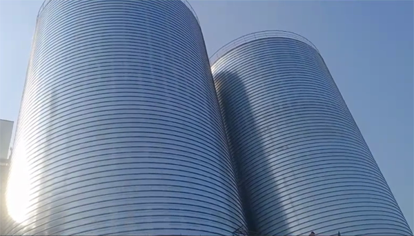 广丰2座混凝土高架卷板仓